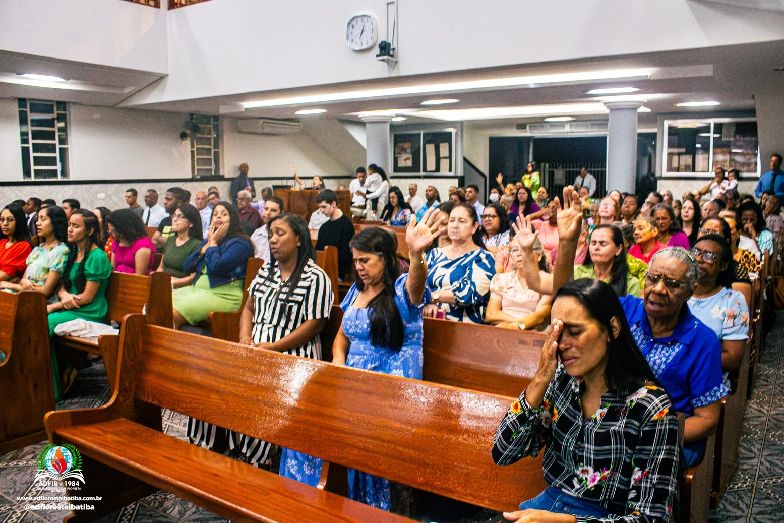 IMG_6719-Aprimorado-NR